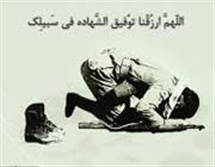 جویندگان تجارت پر سود؛ بسم الله !