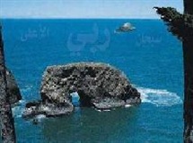 ناشکری، نشانه تسلط ابلیس و تحقق وعده شیطان